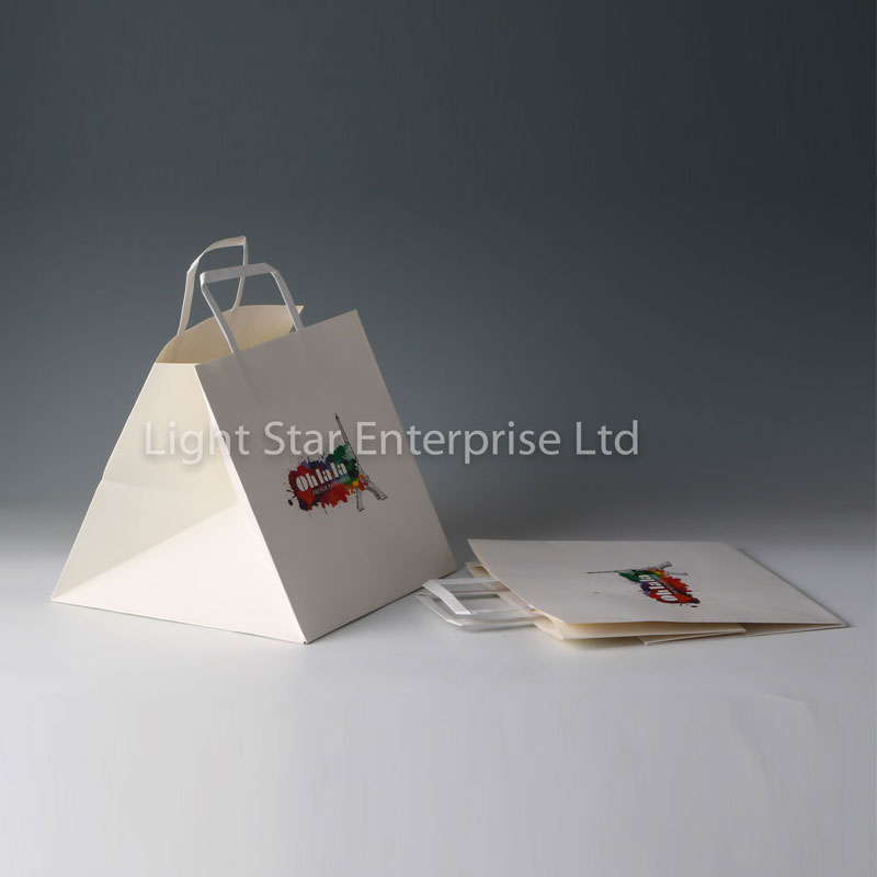 LS31855-Paper bag with paper Handle