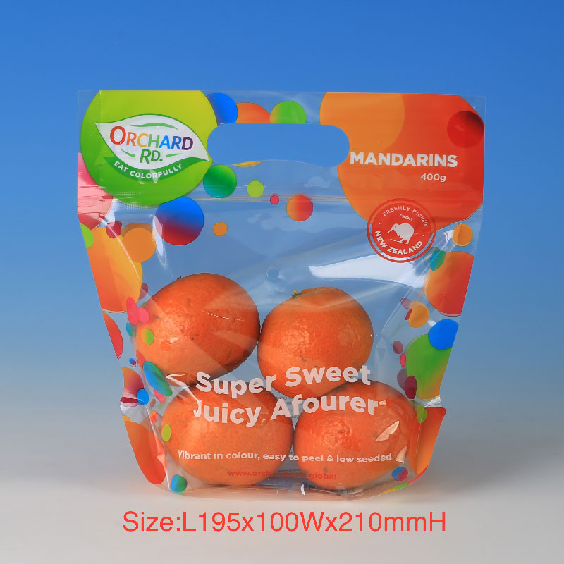 LS31393-Citrus Fruit Bag