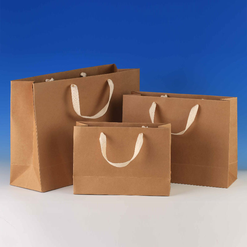 3 Kraft Paper Bag