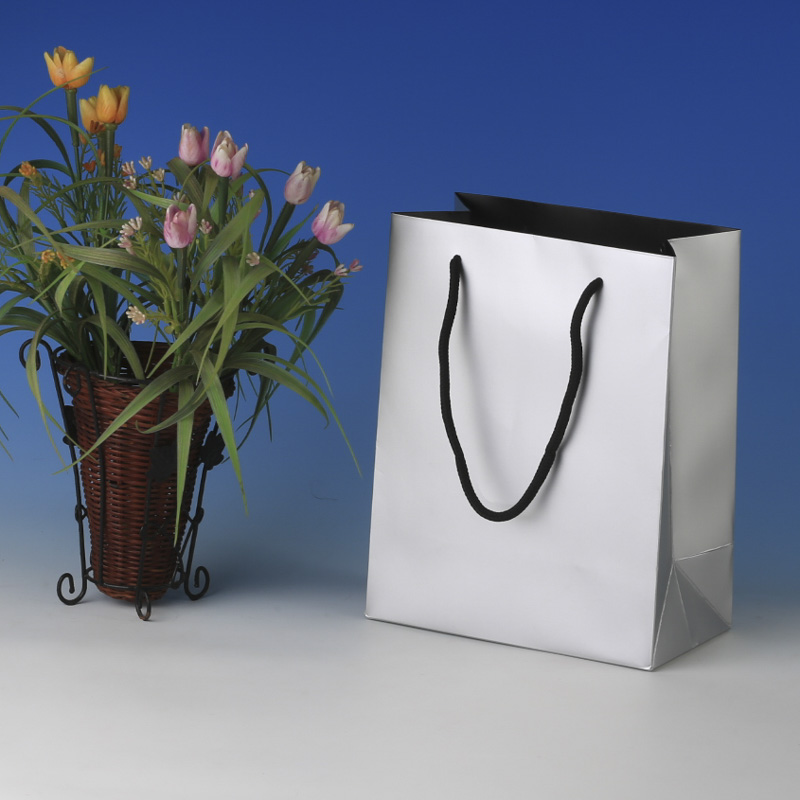 LS6006-Silver Matt Small paper Giftbag: Price @US$0.295/MOQ:3,000pcs