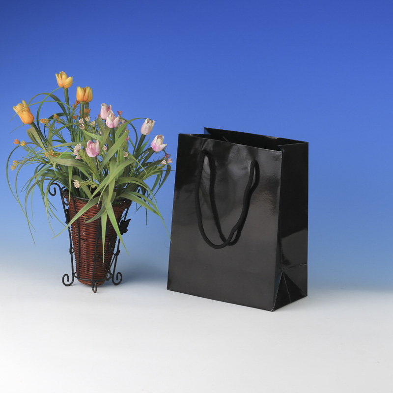 LS6017-Black Glossy Small paper Giftbag: Price @US$0.295/MOQ:3,000pcs