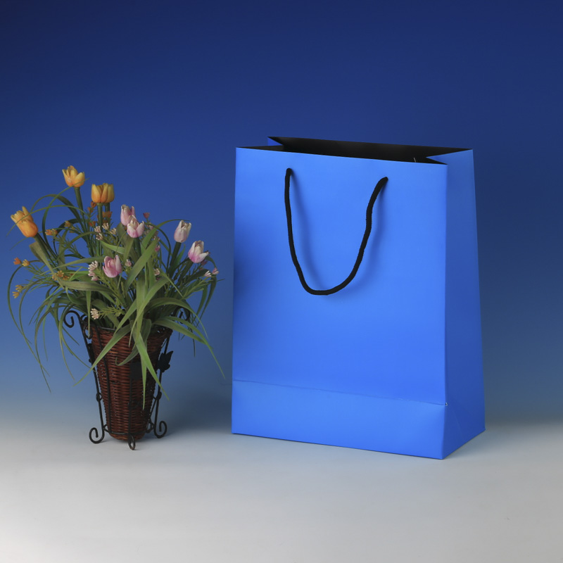 LS6022-Light Blue Matt Med paper Giftbag: Price @US$0.38/MOQ:3,000pcs