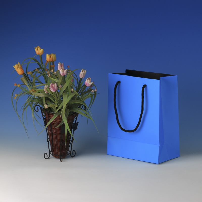 LS6023-Light Blue Matt Small paper Giftbag: Price @US$0.295/MOQ:3,000pcs