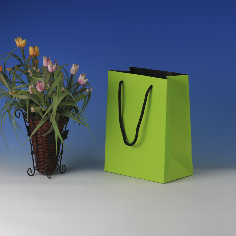 LS6027-Lime Matt Small paper Giftbag: Price @US$0.295/MOQ:3,000pcs