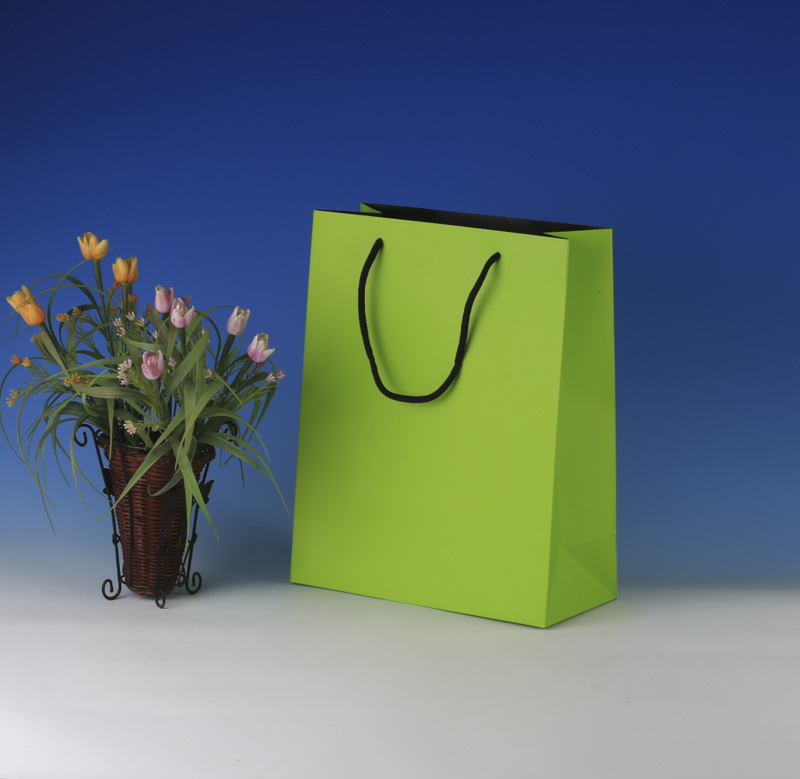 LS6028-Lime Matt Med paper Giftbag: Price @US$0.38/MOQ:3,000pcs