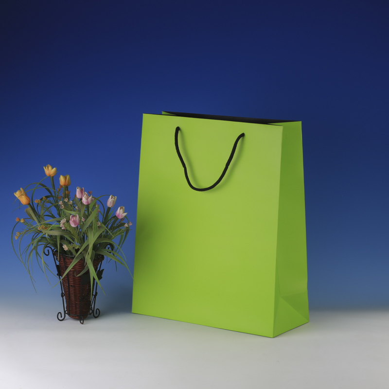 LS6029-Lime Matt Large paper Giftbag: Price @US$0.48/MOQ:3,000pcs