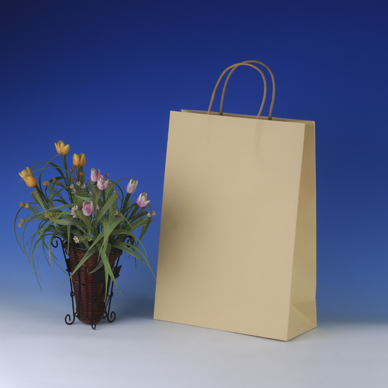 LS6041-HQ Large Kraft paper bag: Price @US$0.28/MOQ:5,000pcs