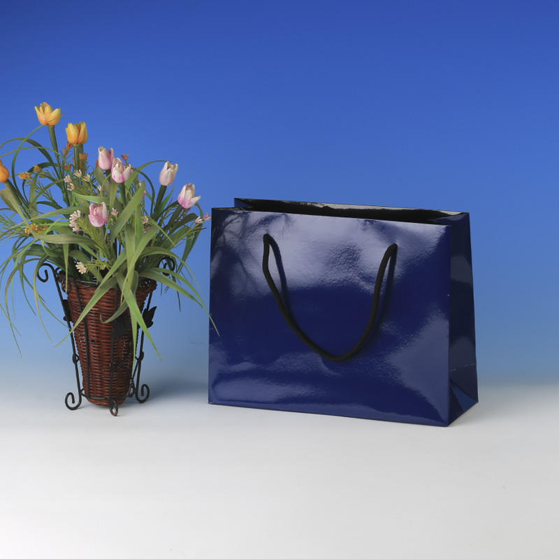 LS6049-Small Blue Boutique bag @US0.32 MOQ:3,000pcs
