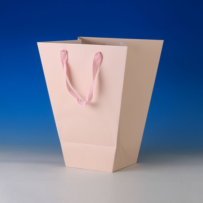 LS31853-Large Triangle Bag