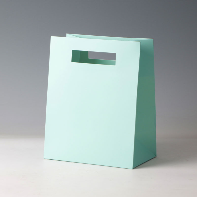 LS31847-Green bag