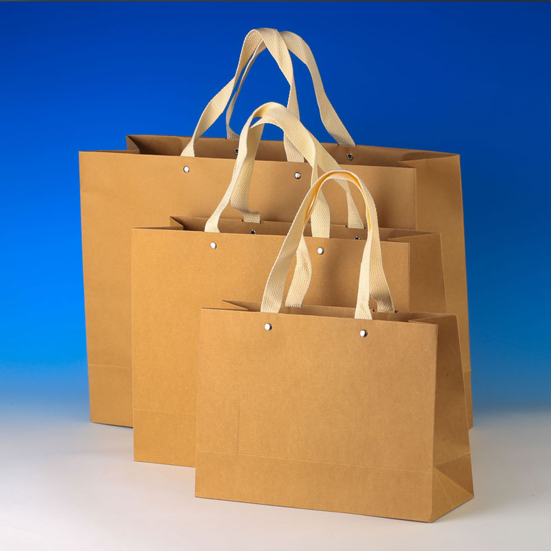 LS3002-Kraft Bags