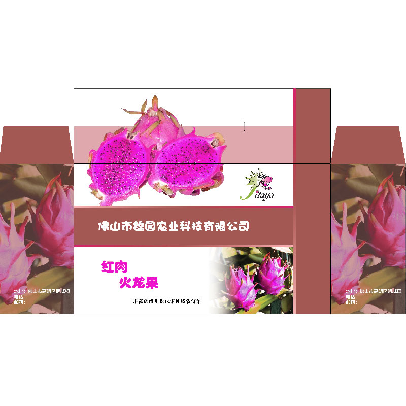 LS31326-Pitaya Fruit Box