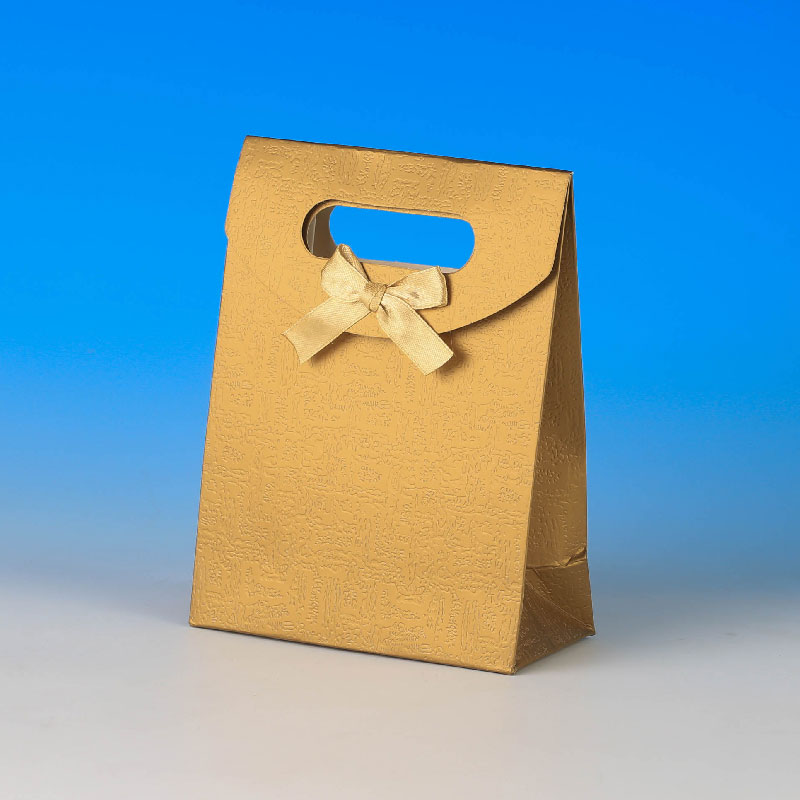LS31325-Small Pocket Bag