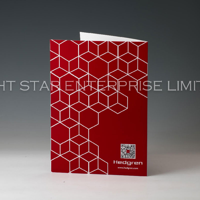 LS31373-Emboss logo Folder printed