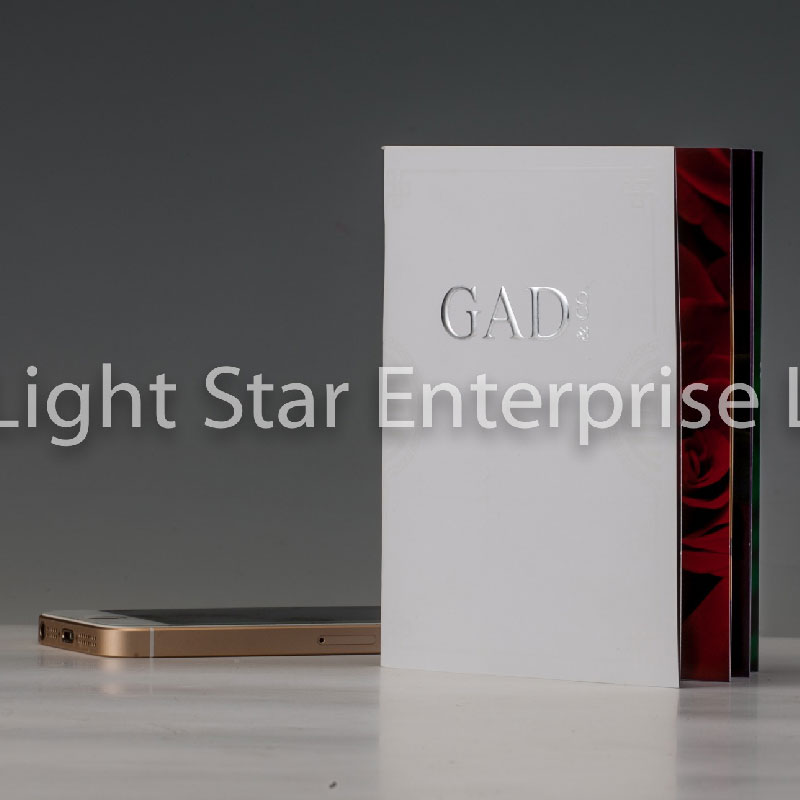 LS31352-Small Book with Silver foil +Embross logo