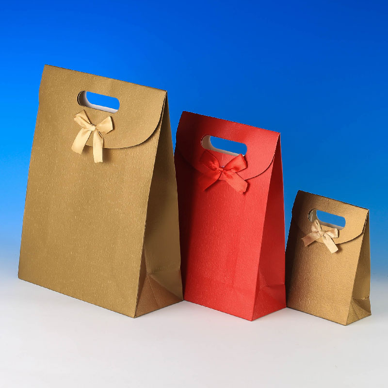 3 Pocket Bag 2