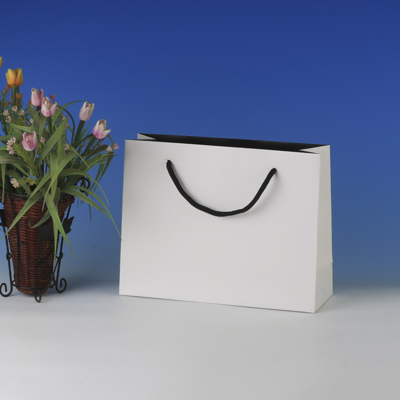 LS6056-Small White Boutique bag @US0.32 MOQ:3,000pcs
