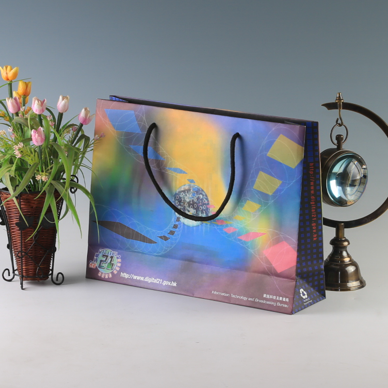 LS31882-Digital Tech paper bag
