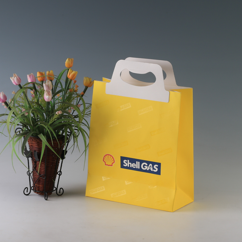 LS31894-Shell GAS paper bag