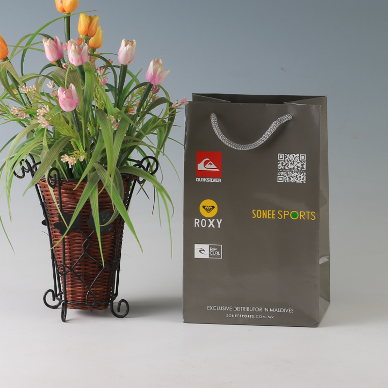 LS31896-Sonee sports carry bag