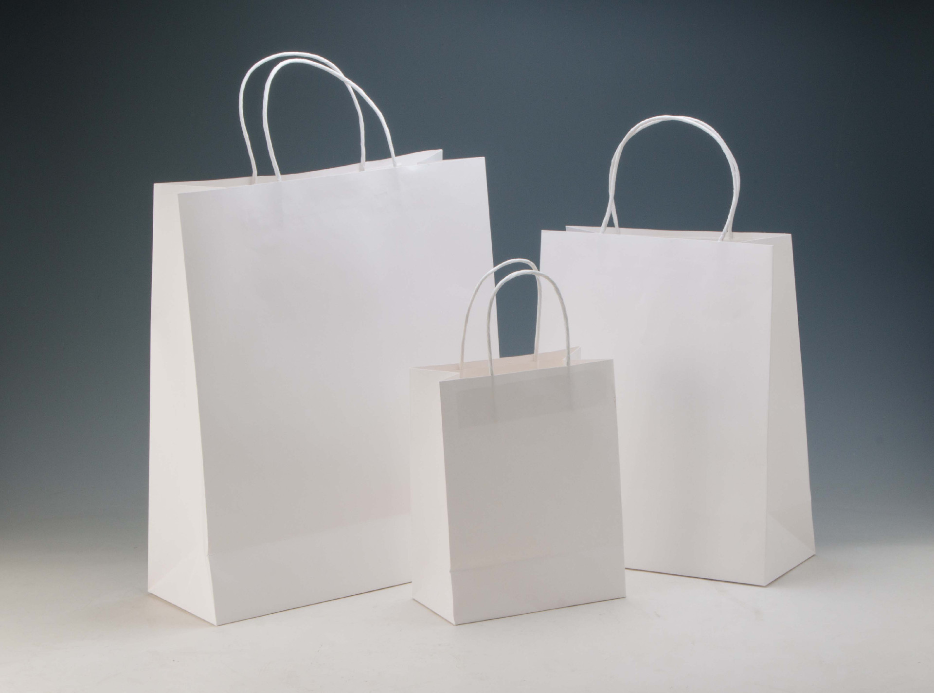 LS31869-White Kraft paper bag